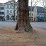 KoMex® Kempen