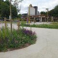 Parking Jardin botanique de Meise juin 2025