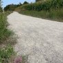 Zavelput Waregem KoMex BIO naturel (1)