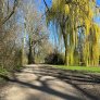halfverharding komex bio naturel