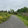 bloemenpark Appeltern koersmix