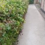 Sentiers de randonnée KoTRec BIO Naturel De Groene Flach