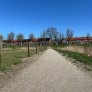 halfverharding komex bio naturel wandelpad gemeente moerdijk