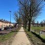 wandelpad woonwijk gemeente Moerdijk halfverharding