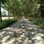 Route agricole KoMex BIO Naturel, Zuthem