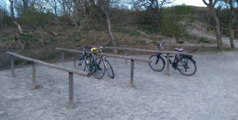 DurEko-mix in de duinen tussen Scheveningen en Den Haag