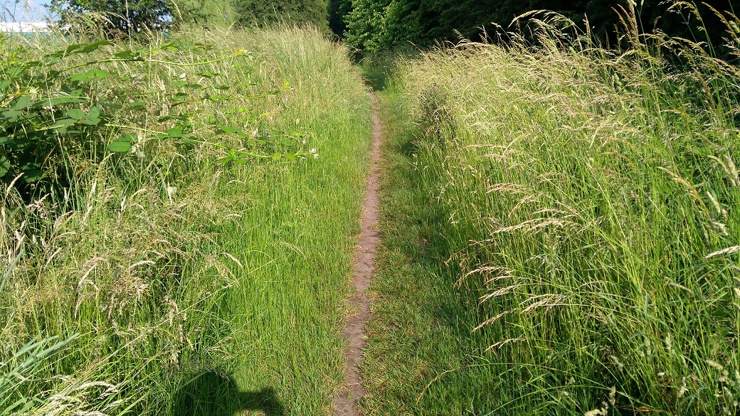 Oude situatie Meylweg 2