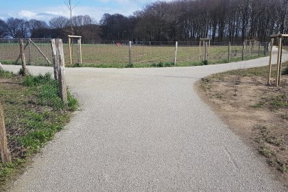 Waldweg Hydraulischer Sand Emmen Wesel 