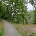 DurEko-mix® in Esterfelder Forst