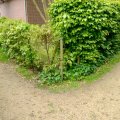 halfverharding natuurlijke uitstraling