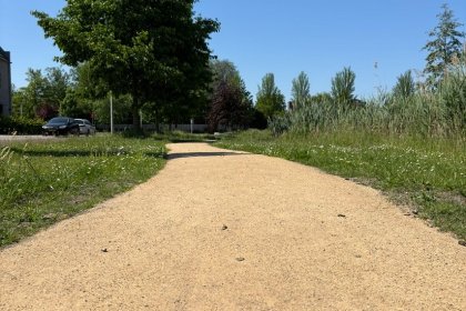 anna marie van capellenpark sportpark Couwenhoek couwenhoekseweg capelle aan den ijssel