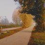 Fietspad bio halfverharding Koers