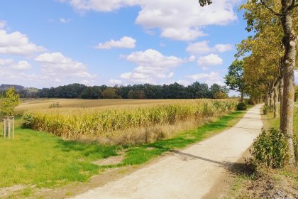 Radweg KoMex BIO Naturell Arnsberg Flughafens Arnsberg-Menden wassergebundene bio wegedecke