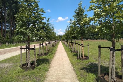 KoMex BIO Naturel Paleis het Loo